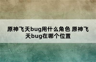 原神飞天bug用什么角色 原神飞天bug在哪个位置